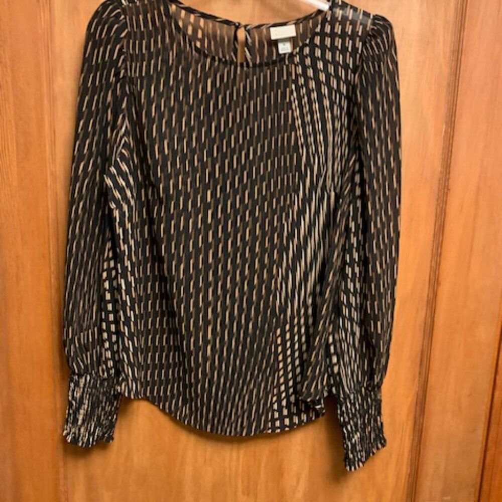 Sheer long sleeve shirt/blouse; A New Day, Circa 2010 line, Target Brand, Medium